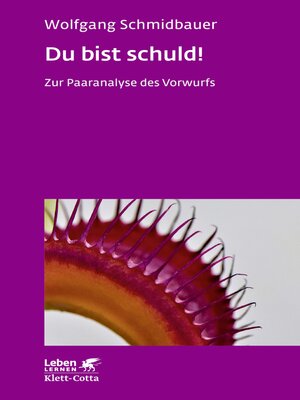 cover image of Du bist schuld! (Leben Lernen, Bd. 315)